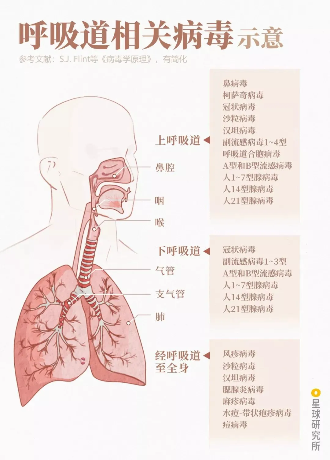 检测你的免疫力！安全度过呼吸道传染病高发期